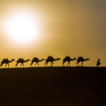 6 Days tour Tangier to Marrakech