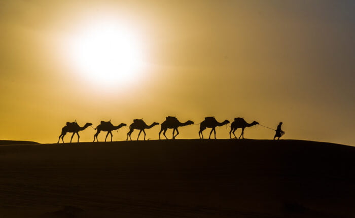 6 Days tour Tangier to Marrakech