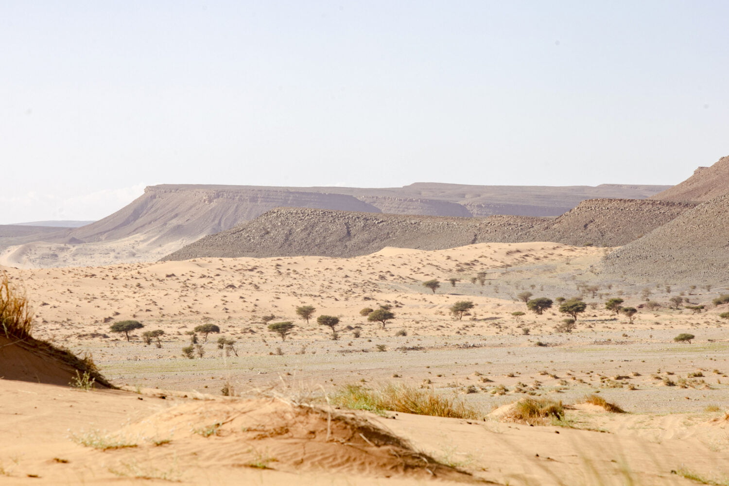 4 Days tour from Marrakech to Fes