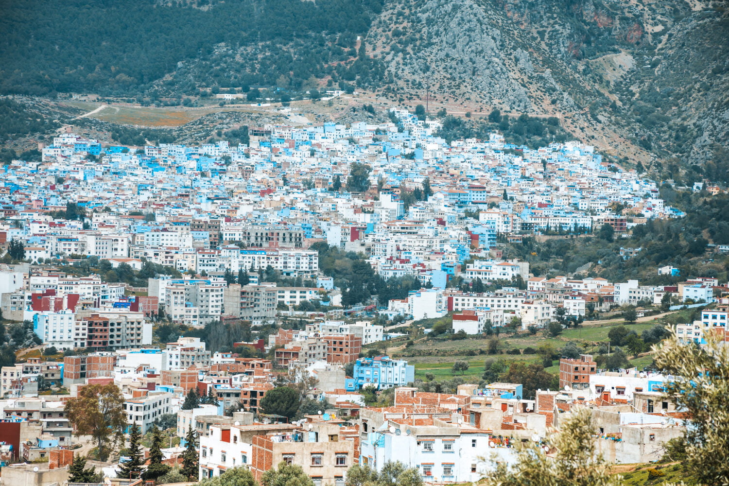 6 days imperial cities tour from Tangier